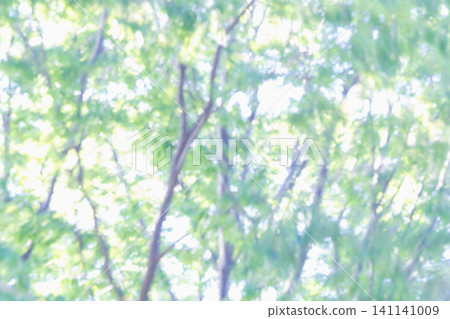 夏季抽象綠色背景 夏季抽象綠色背景 141141009