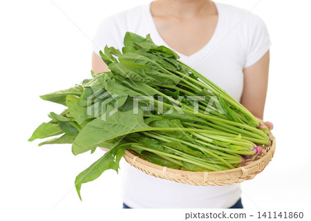 新鮮的菠菜 新鮮的菠菜 141141860