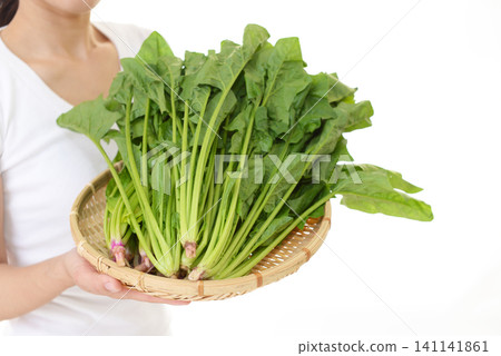  新鮮的菠菜 141141861