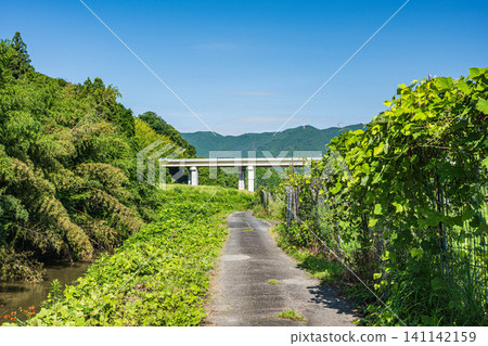 A road along the Tenjin River in Ogi, Otsu City, Shiga Prefecture A road along the Tenjin River in Ogi, Otsu City, Shiga Prefecture 141142159