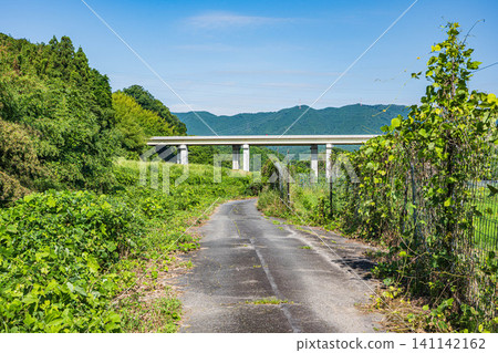 A farm road along the Tenjin River in Ogi, Otsu City, Shiga Prefecture A farm road along the Tenjin River in Ogi, Otsu City, Shiga Prefecture 141142162
