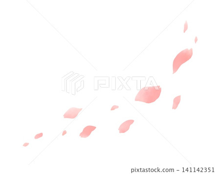 Spring background material featuring falling cherry blossom petals Spring background material featuring falling cherry blossom petals 141142351