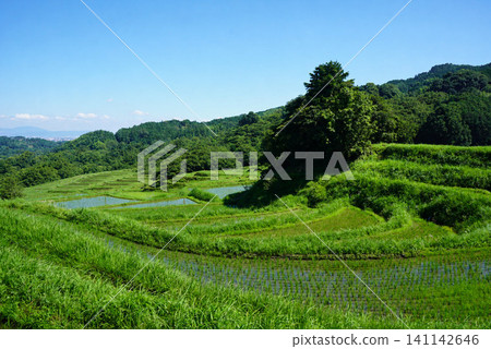 Original landscape of Japan Original landscape of Japan 141142646