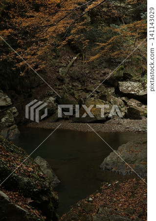 景觀與秋葉和河流 景觀與秋葉和河流 141143029