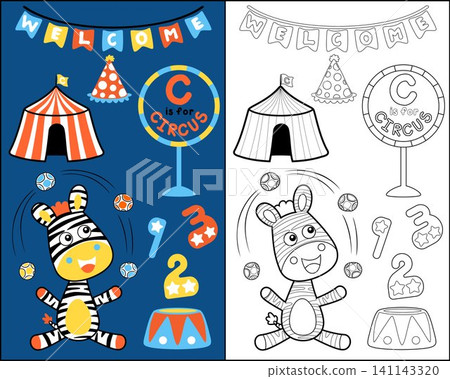 vector illustration of funny zebra cartoon doing juggling balls at circus show, circus elements cartoon, coloring book or page vector illustration of funny zebra cartoon doing juggling balls at circus show, circus elements cartoon, coloring book or page 141143320