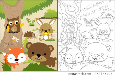 Coloring book or page with funny animals cartoon in the woods Coloring book or page with funny animals cartoon in the woods 141143797