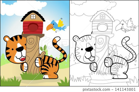 Coloring book or page of funny animals cartoon, tiger playing with bird in forest, birds cage on tree stump Coloring book or page of funny animals cartoon, tiger playing with bird in forest, birds cage on tree stump 141143801