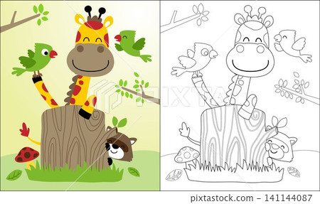 Coloring book or page with nice giraffe cartoon and friends, raccoon and birds. 141144087