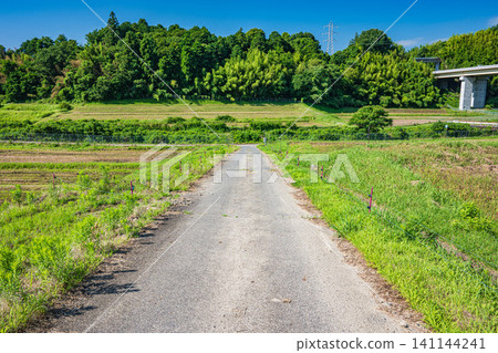 Rural landscape of Ogi, Otsu City, Shiga Prefecture 141144241