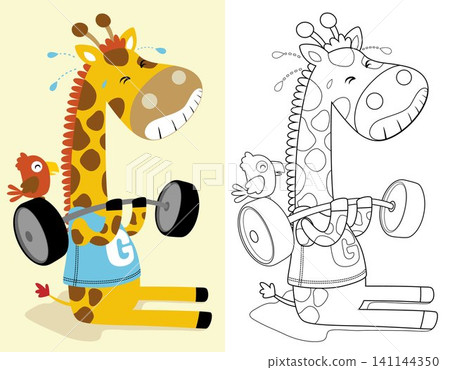 coloring book or page of funny giraffe cartoon lifting heavy barbell with little bird coloring book or page of funny giraffe cartoon lifting heavy barbell with little bird 141144350
