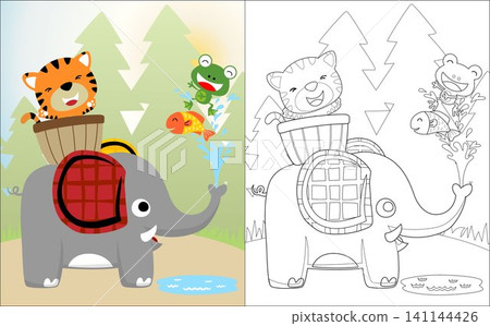 Vector illustration of tiger riding elephants, fish and frog playing water. Coloring book or page Vector illustration of tiger riding elephants, fish and frog playing water. Coloring book or page 141144426