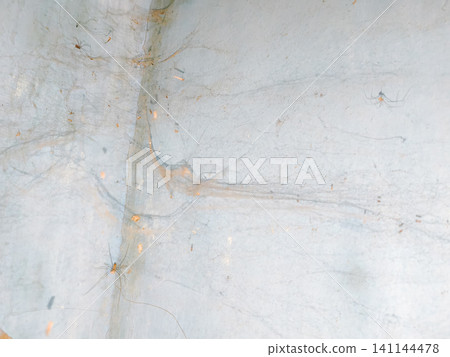 Abstract background of a weathered and distressed wall with peeling paint and plaster in faded light blue and beige tones, showcasing aged texture and grunge details. Abstract background of a weathered and distressed wall with peeling paint and plaster in faded light blue and beige tones, showcasing aged texture and grunge details. 141144478