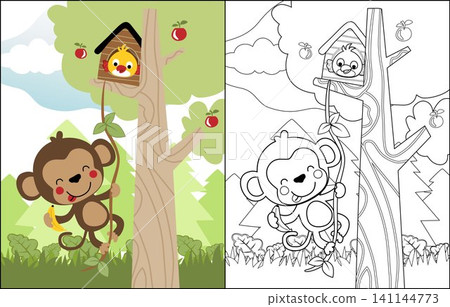 vector cartoon of funny monkey and bird in the tree, coloring book or page vector cartoon of funny monkey and bird in the tree, coloring book or page 141144773