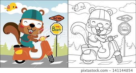 vector cartoon of cute squirrel riding scooter with little bird, coloring book or page 141144854