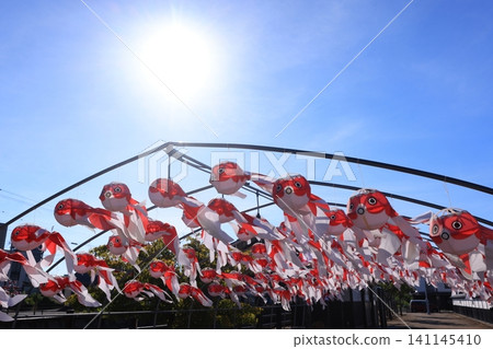 Yanai Goldfish Lantern Festival 3118 141145410