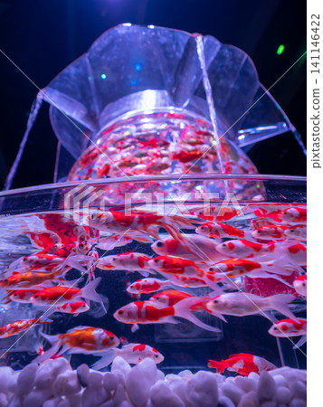金魚在奇幻的水族箱裡遊來游去 金魚在奇幻的水族箱裡遊來游去 141146422