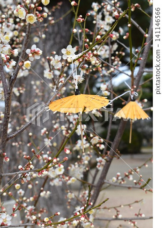 Shogun Shrine 141146566