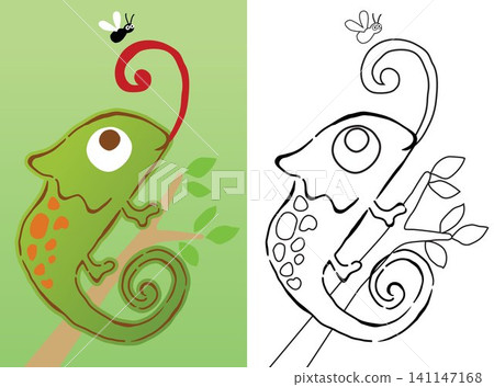 Vector cartoon of chameleon on tree branches with a fly, coloring book or page Vector cartoon of chameleon on tree branches with a fly, coloring book or page 141147168