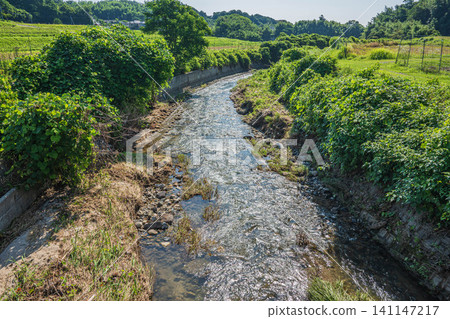 The clear stream of Tenjin River flowing through Ogi, Otsu City, Shiga Prefecture. The clear stream of Tenjin River flowing through Ogi, Otsu City, Shiga Prefecture. 141147217