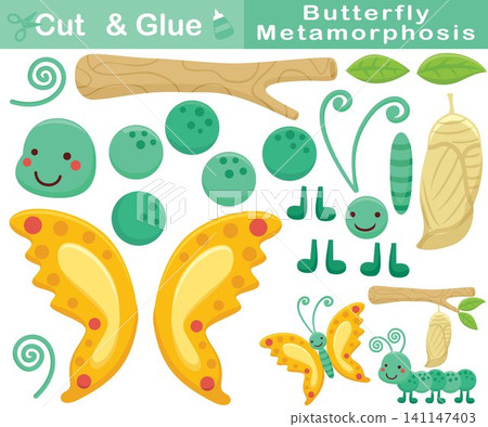 Cartoon of butterfly metamorphosis cartoon. Education paper game for children. Cutout and gluing Cartoon of butterfly metamorphosis cartoon. Education paper game for children. Cutout and gluing 141147403