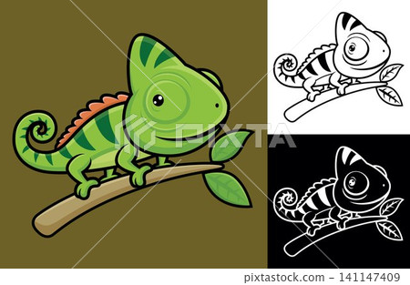 Funny chameleon on tree branches. Vector cartoon illustration in flat icon style Funny chameleon on tree branches. Vector cartoon illustration in flat icon style 141147409