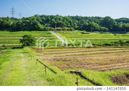 滋賀縣大津市荻町的鄉村景色 滋賀縣大津市荻町的鄉村景色 141147850