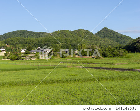 Summer rural landscapes spreading across Inagawa Town Summer rural landscapes spreading across Inagawa Town 141148533