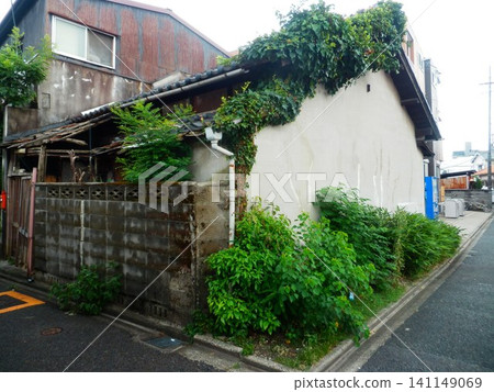 The wall of an old house covered in green plants The wall of an old house covered in green plants 141149069