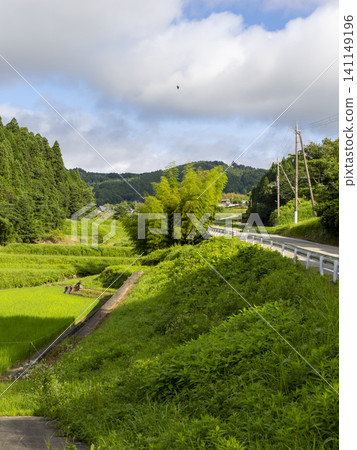 The landscape of terraced rice fields spreading across the Kashiwabara district of Inagawa Town The landscape of terraced rice fields spreading across the Kashiwabara district of Inagawa Town 141149196