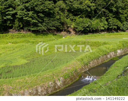 稻川町柏原地區層層疊疊的梯田風光。 稻川町柏原地區層層疊疊的梯田風光。 141149222