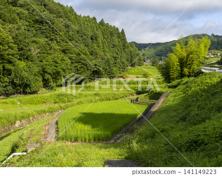 稻川町柏原地區層層疊疊的梯田風光。 141149223