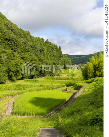 稻川町柏原地區層層疊疊的梯田風光。 141149224