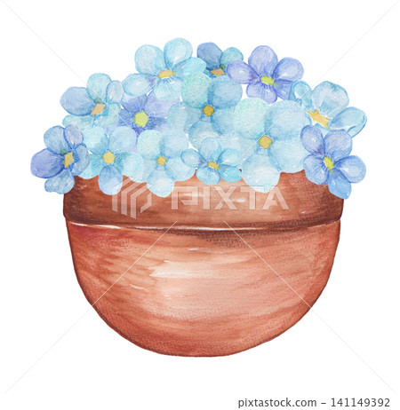 水彩畫,描繪了盆栽植物和花盆中的懸掛植物。 水彩畫,描繪了盆栽植物和花盆中的懸掛植物。 141149392