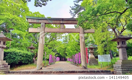 A scene of a shrine gate and the approach to the shrine surrounded by fresh greenery in early summer. A scene of a shrine gate and the approach to the shrine surrounded by fresh greenery in early summer. 141149405