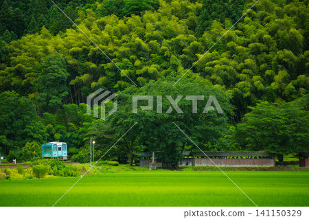 A local train running through fresh greenery A local train running through fresh greenery 141150329