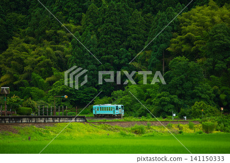 當地火車穿過新鮮的綠地 當地火車穿過新鮮的綠地 141150333