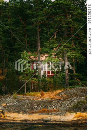 Hidden Red Wooden Cabin in a Finnish Pine Forest Hidden Red Wooden Cabin in a Finnish Pine Forest 141150388