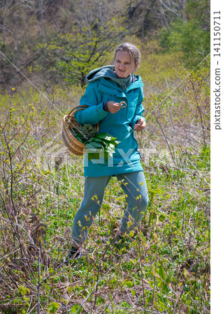 Woman in teal jacket walking through sunlit meadow holding basket of fresh ferns and wild garlic. Natural outdoor setting with green foliage dry grass Woman in teal jacket walking through sunlit meadow holding basket of fresh ferns and wild garlic. Natural outdoor setting with green foliage dry grass 141150711