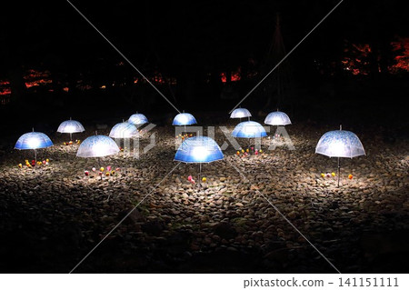 [Hirosaki City, Aomori Prefecture] Hirosaki Castle Chrysanthemum and Autumn Leaves Festival: Umbrellas and Pom-poms 141151111