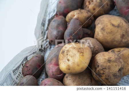 Potatoes with soil still on them: Kitakari and Destroyer varieties. Potatoes with soil still on them: Kitakari and Destroyer varieties. 141151416