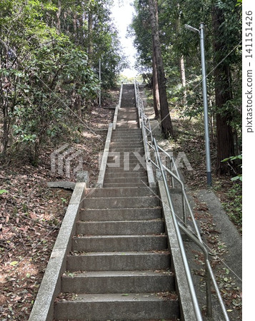 在山的台階 141151426