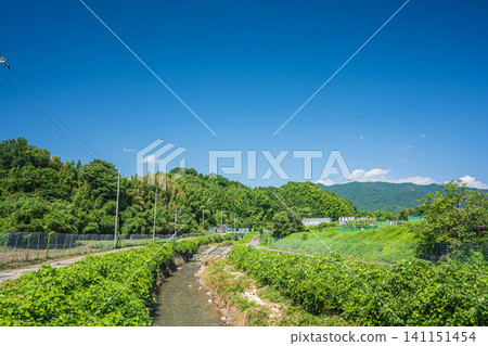 天神川清澈的溪流流經滋賀縣大津市荻町。 天神川清澈的溪流流經滋賀縣大津市荻町。 141151454