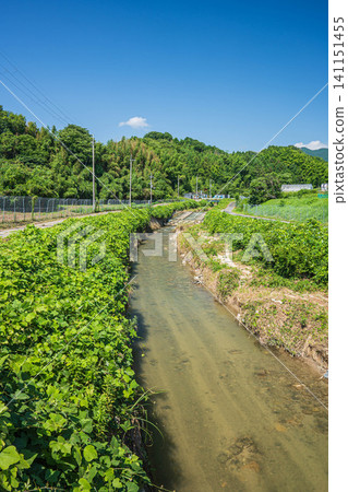 The clear stream of Tenjin River flowing through Ogi, Otsu City, Shiga Prefecture. The clear stream of Tenjin River flowing through Ogi, Otsu City, Shiga Prefecture. 141151455
