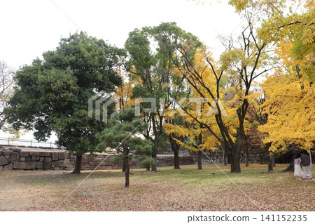 大阪城公園的秋景 大阪城公園的秋景 141152235