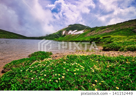 Hakuba-Oike Pond on Mt. Hakuba in the Northern Alps Hakuba-Oike Pond on Mt. Hakuba in the Northern Alps 141152449