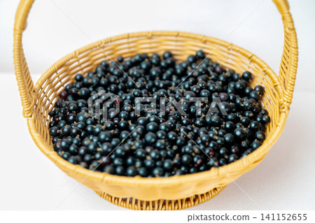 Ripe blackcurrants in wicker basket Ripe blackcurrants in wicker basket 141152655