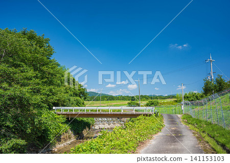 Farm road along the Tenjin River, Ogi, Otsu City, Shiga Prefecture Farm road along the Tenjin River, Ogi, Otsu City, Shiga Prefecture 141153103