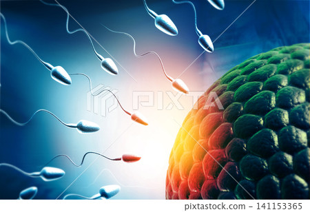Human eggs and sperm, Sperm swimming to egg Human eggs and sperm, Sperm swimming to egg 141153365