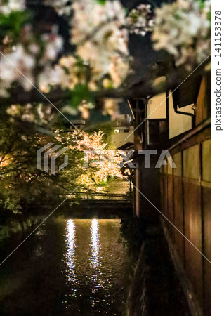 Cherry blossoms at night and traditional townhouses in Gion Shirakawa Cherry blossoms at night and traditional townhouses in Gion Shirakawa 141153378