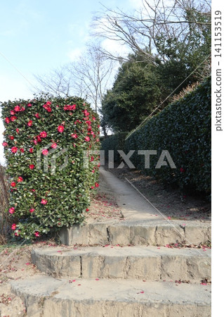 2014, Kagawa, Mitoyo, Landscape, Takuma Town, Shiunideyama, Part Five 141153519